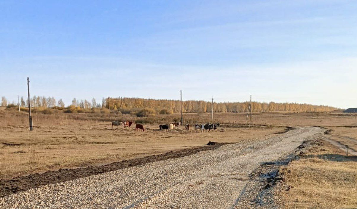 Саратовские сельчане смогут ездить по местным дорогам в любую погоду